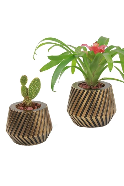 Evene Saksı Çiçek Kaktüs Saksısı Lüx 15 Cm Altın Eskitme Varak Boya Mekanik Dişli Desen Saksı 2li Çiçeklik ürün görseli 1