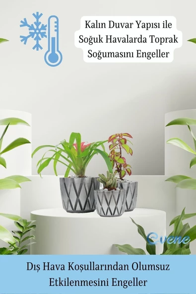 Evene Saksı Çiçek Kaktüs Saksısı Lüx 15 Cm Gümüş Eskitme Varak Boyalı Baklava Desenli 3'lü Set Çiçeklik - Resim 7