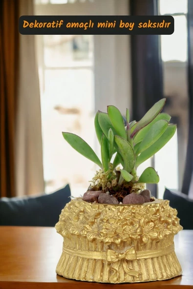 Viselia Kaktüs Saksısı Sukulent El Yapımı Saksı Balkon Çiçek Saksısı Ev Saksısı Saksı Model 3 Altın - Resim 2