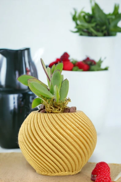 Viselia Kaktüs Saksısı Sukulent El Yapımı Saksı Balkon Çiçek Saksısı Ev Saksısı Saksı Model 1 Altın - Resim 6