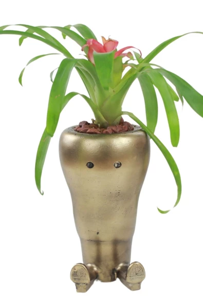 Stein Kohle Çiçek Saksısı Büyük Boy 1 Adet Altın Renk Eskitme Uygulamalı Havuç Model ürün görseli 1