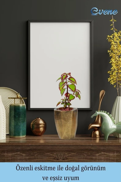 Evene Saksı Çiçek Kaktüs Saksısı Lüx 15 Cm Altın Eskitme Varak Boyalı Uzun Poly Desenli 3'lü Set Çiçeklik - Resim 8