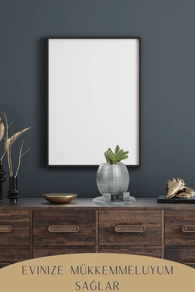 Stein Kohle Çiçek Saksısı Dekoratif Kaktüs Saksı 1 Adet Gümüş Renk Eskitme Uygulamalı Yuvarlak Ayaklı Model - 6