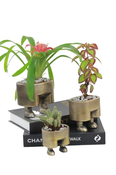 Stein Kohle Çiçek Saksısı Büyük Boy 3 Adet Altın Renk Eskitme Uygulamalı Pantolon Model