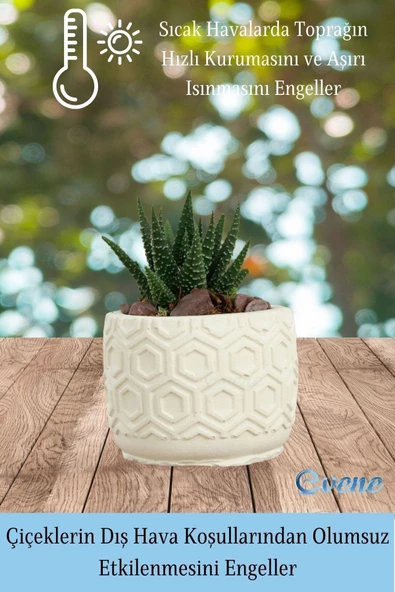 Evene Mini Çiçek Saksı Küçük Sukulent Beyaz Kaktüs Saksısı Altıgen Desenli Model - Resim 4