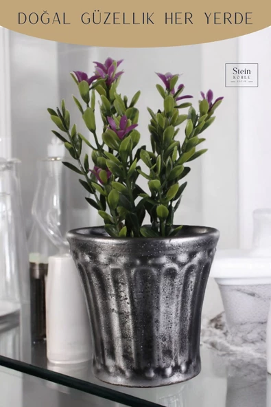 Stein Kohle Dekoratif Saksı Minik Kaktüs Saksısı Gümüş Eskitme Renk Model 40 - Resim 5