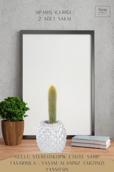 Stein Kohle Çiçek Saksısı Büyük Boy 2 Adet Gümüş Renk Uygulamalı Ananas Model - Resim 4