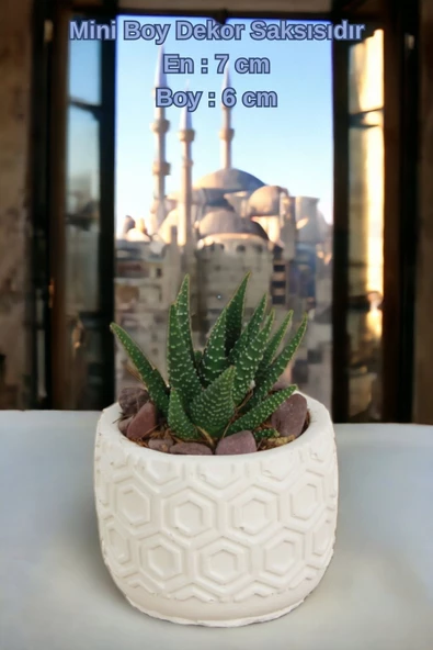 Kaktüs Saksı Dünyası El Yapımı Saksı Beyaz Dekoratif Saksı Küçük Boy Model 2 - Resim 2