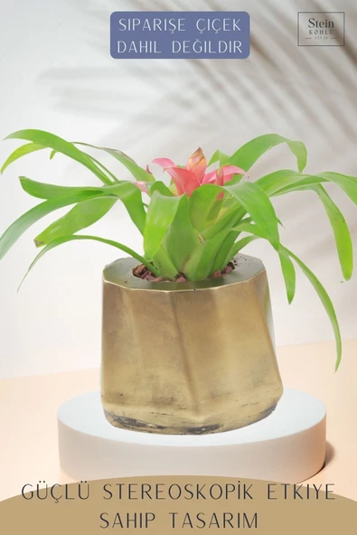 Stein Kohle Çiçek Saksısı Dekoratif Kaktüs Saksı 1 Adet Altın Renk Eskitme Uygulamalı Kalın Çizgili Model - Resim 4