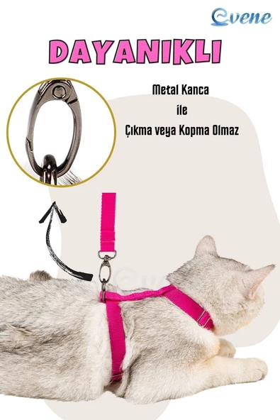 Evene Kedi Tasması Kedi Gögüs Bel Ayarlanabilir Tasma Pembe - Resim 2