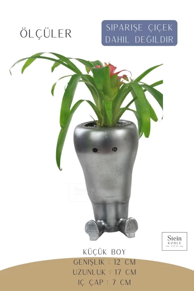 Stein Kohle Çiçek Saksısı Dekoratif Kaktüs Saksı 1 Adet Gümüş Renk Eskitme Uygulamalı Havuç Model - Resim 2