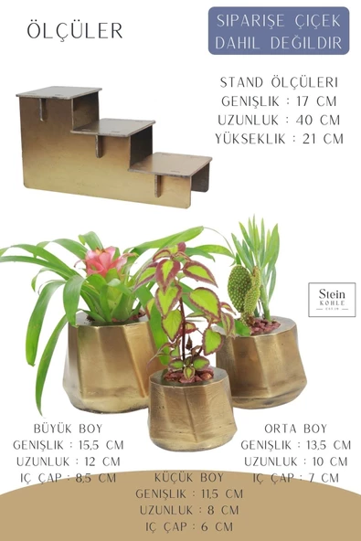 Stein Kohle Ayaklı Saksı Ahşap Büyük Boy 3 Adet Altın Renk Eskitme Uygulamalı Kalın Çizgi Model - Resim 2