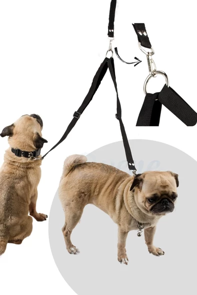 Evene Kedi Gezdirme Tasması Kedi Gezdirme Ipi Çiftli Tasma Model 9 Siyah - Resim 5