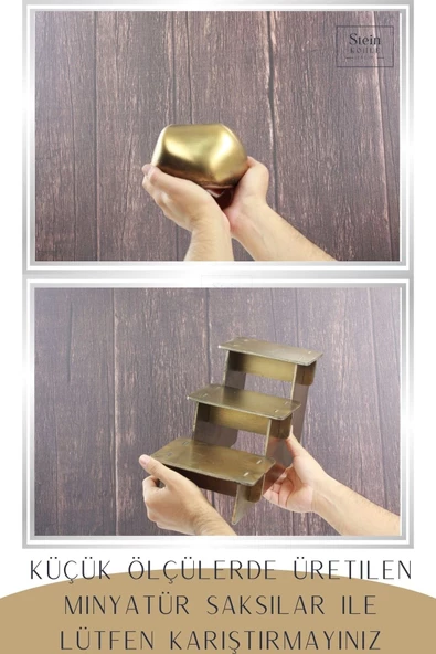 Stein Kohle Ayaklı Saksı Ahşap Büyük Boy 3 Adet Altın Renk Eskitme Uygulamalı Spiral Oval Model - Resim 3