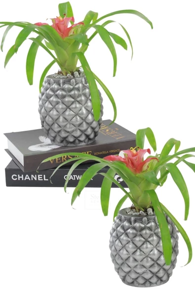 Stein Kohle Çiçek Saksısı Büyük Boy 2 Adet Gümüş Renk Eskitme Uygulamalı Ananas Model