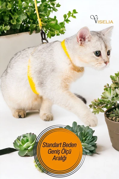 Viselia Kedi Tasması Boyun Göğüs Ayarlanabilir Sevk Kayışlı Gezdirme Seti - 6