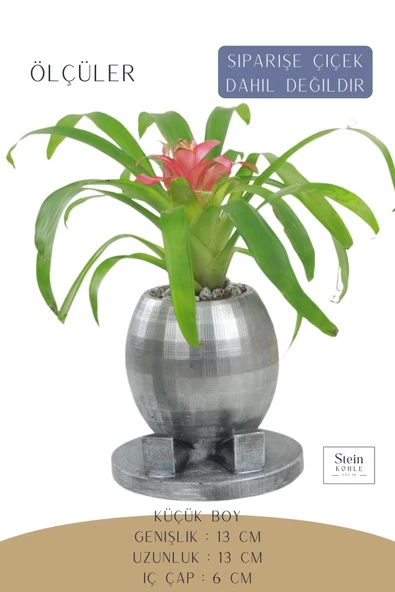 Stein Kohle Çiçek Saksısı Dekoratif Kaktüs Saksı 1 Adet Gümüş Renk Eskitme Uygulamalı Yuvarlak Ayaklı Model - 2