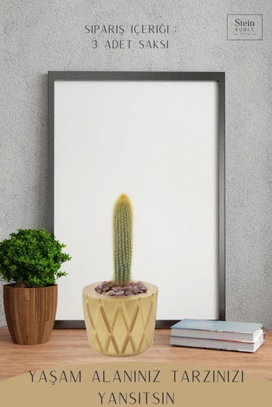 Stein Kohle Çiçek Saksısı Büyük Boy 3 Adet Altın Renk Uygulamalı Baklava Model - Resim 4