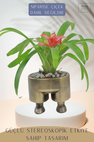 Stein Kohle Çiçek Saksısı Büyük Boy 1 Adet Altın Renk Eskitme Uygulamalı Pantolon Model - 4