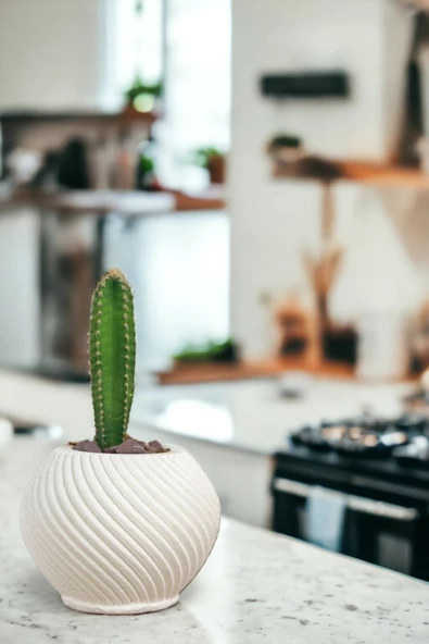 Viselia Kaktüs Saksısı Sukulent El Yapımı Saksı Balkon Çiçek Saksısı Ev Saksısı Saksı Model 1 Beyaz - Resim 4