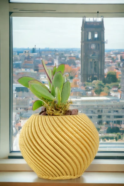 Viselia Kaktüs Saksısı Sukulent El Yapımı Saksı Balkon Çiçek Saksısı Ev Saksısı Saksı Model 1 Altın - Resim 5