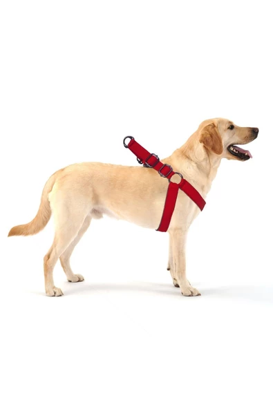 Evene Köpek Tasması Köpek Gögüs Boyun Ayarlanabilir Fonksiyonel Evcil Hayvan Tasma Kırmızı ürün görseli