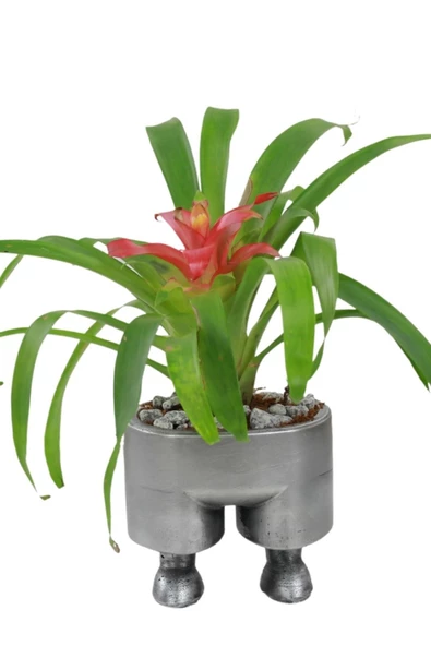 Stein Kohle Çiçek Saksısı Büyük Boy 1 Adet Gümüş Renk Eskitme Uygulamalı Pantolon Model