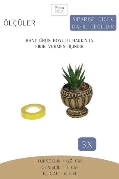 Stein Kohle Dekoratif Saksı Minik Kaktüs Saksısı Altın Eskitme Renk 3 Adet Saksı Seti Antika Model - Resim 2