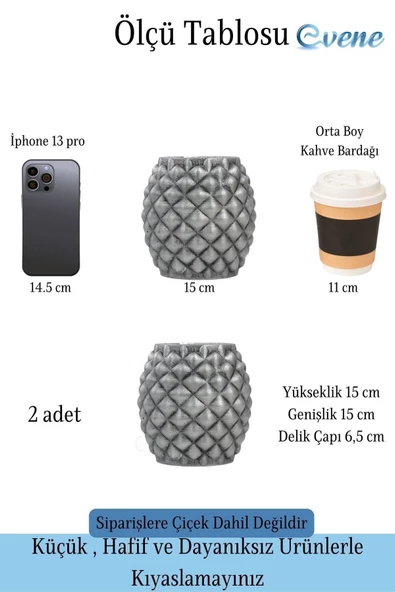 Evene Saksı Çiçek Kaktüs Saksısı Lüx 15 Cm Gümüş Eskitme Varak Boyalı Ananas Desenli 2'li Set Çiçeklik - 2