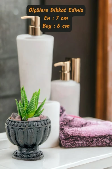 Viselia Kaktüs Saksısı Sukulent El Yapımı Saksı Balkon Çiçek Saksısı Ev Saksısı Saksı Model 17 Siyah - Resim 3