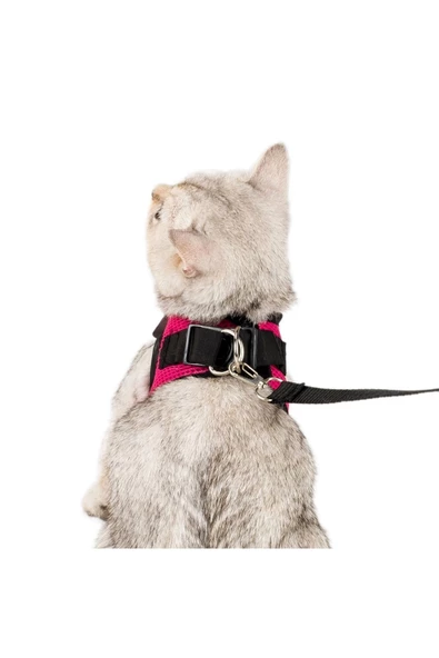 Evene Pembe Kedi Tasması S Beden Göğüs Boyun Tasma Seti Sevk Kayışlı Terletmeyen Nefes Alan Reflektör - Resim 4