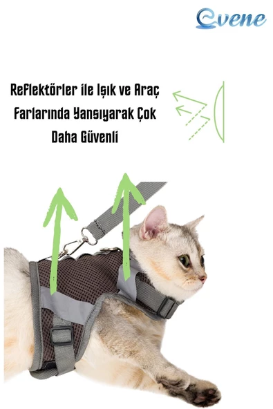 Evene Kedi Tasması Göğüs Boyun Tasma Seti Sevk Kayışlı Terletmeyen Nefes Alan Reflektörlü Tasma S Gri - Resim 5