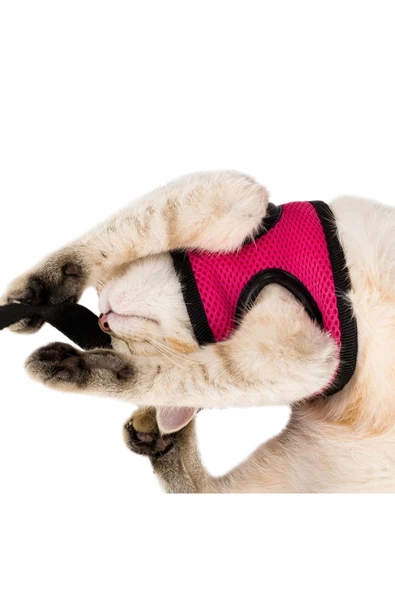 Evene Pembe Kedi Tasması S Beden Göğüs Boyun Tasma Seti Sevk Kayışlı Terletmeyen Nefes Alan Reflektör - Resim 3