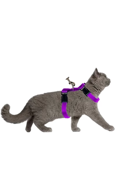 Pandogo Kedi Köpek Tasması Ayarlanabilir Bedenli Kaçış Önleyici Tasarım Sevk Kayışlı Model Mor
