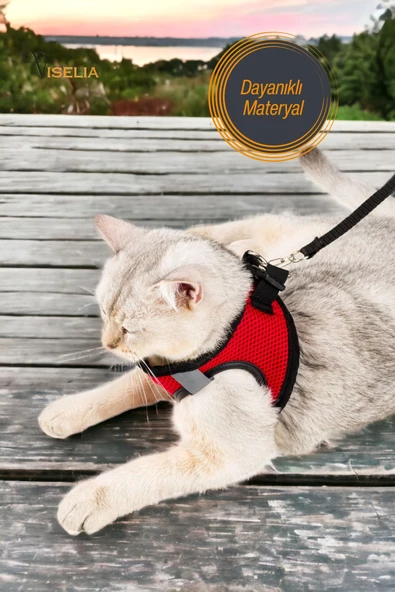 Viselia Kedi Tasması Göğüs Boyun Tasma Sevk Kayışlı Terletmeyen Nefes Alan Kumaş Reflektörlü Kırmızı M Beden - Resim 3