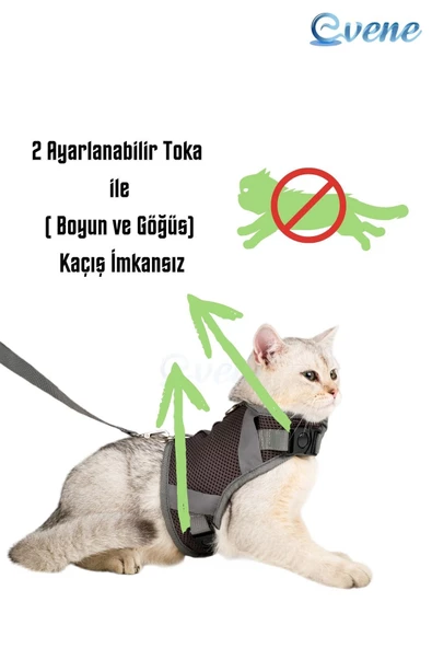 Evene Kedi Tasması Göğüs Boyun Tasma Seti Sevk Kayışlı Terletmeyen Nefes Alan Reflektörlü Tasma S Gri - Resim 4