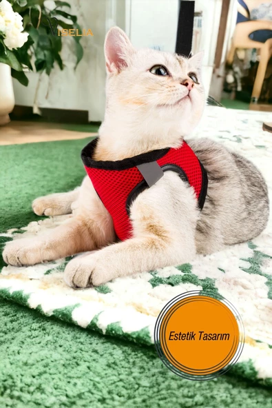 Viselia Kedi Tasması Göğüs Boyun Tasma Sevk Kayışlı Terletmeyen Nefes Alan Kumaş Reflektörlü Kırmızı M Beden - Resim 2