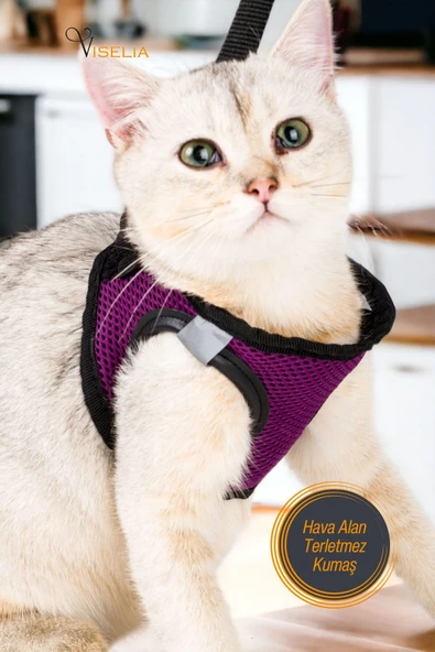 Viselia Kedi Tasması Göğüs Boyun Tasma Sevk Kayışlı Terletmeyen Nefes Alan Kumaş Reflektörlü Mor M Beden - Resim 2