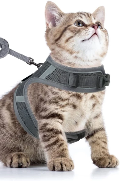 Pandogo Kedi Tasması Göğüs Gezdirme Tasması Uzun Sevk Kayışlı Gri M Beden