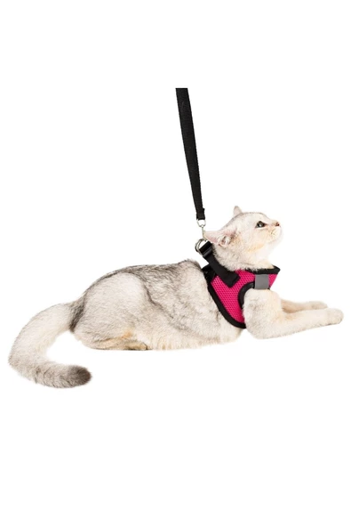 Evene Pembe Kedi Tasması S Beden Göğüs Boyun Tasma Seti Sevk Kayışlı Terletmeyen Nefes Alan Reflektör - Resim 5