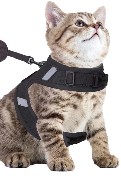 Pandogo Kedi Tasması Göğüs Gezdirme Tasması Uzun Sevk Kayışlı Siyah L Beden