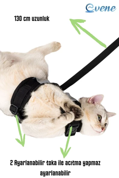 Evene Kedi Tasması Göğüs Boyun Tasma Seti Sevk Kayışlı Terletmeyen Nefes Alan Reflektörlü Tasma L Siyah - Resim 5