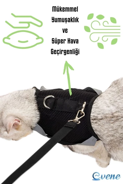 Evene Kedi Tasması Göğüs Boyun Tasma Seti Sevk Kayışlı Terletmeyen Nefes Alan Reflektörlü Tasma L Siyah - Resim 7
