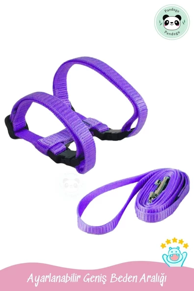 Pandogo Kedi Gezdirme Tasması Sevk Kayışlı Mor Dubai - Resim 3