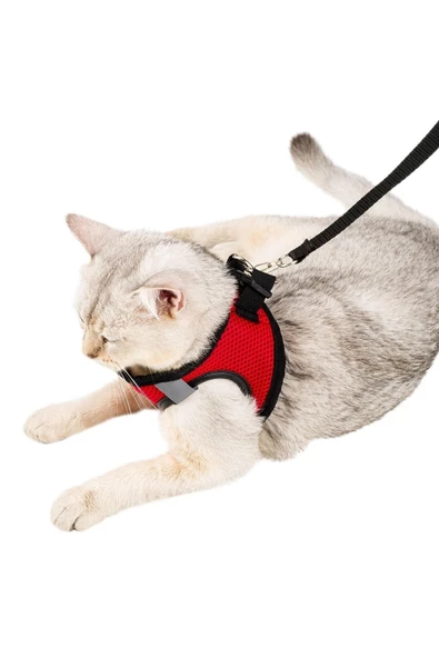 Evene Kedi Tasması Kedi Gezdirme Tasması Kedi Göğüs Tasması Model 1 L Beden Kırmızı Tasma - Resim 4