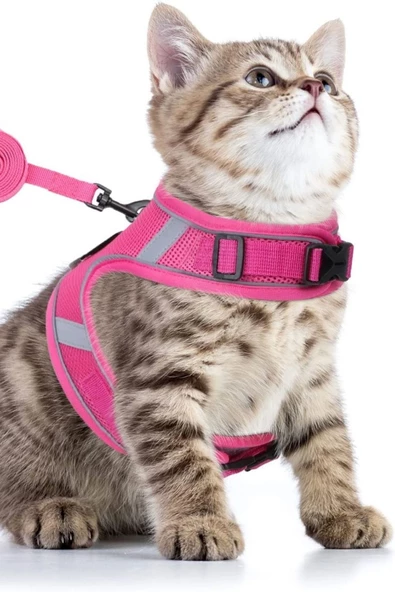 Pandogo Kedi Tasması Göğüs Gezdirme Tasması Uzun Sevk Kayışlı Pembe S Beden ürün görseli