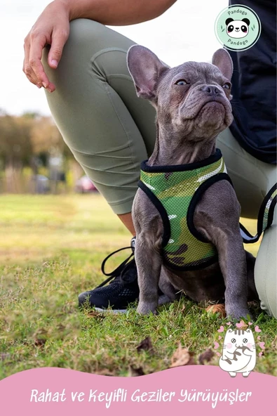 Pandogo Kedi Köpek Tasması Reflektörlü Fileli Hava Alan Kumaş Sevk Kayışlı Kedi Gezdirme Tasması Gri L - 6