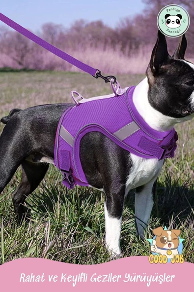 Pandogo Kedi Tasması Göğüs Gezdirme Tasması Uzun Sevk Kayışlı Mor M Beden - Resim 8