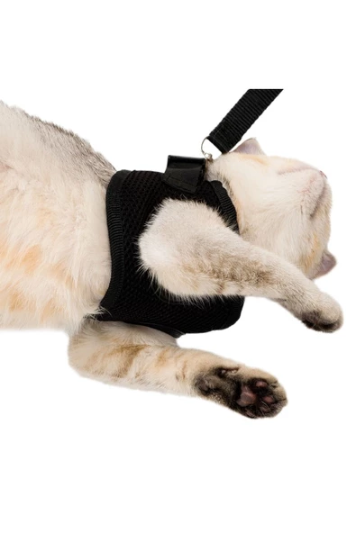 Evene Siyah Kedi Tasması S Beden Göğüs Boyun Tasma Seti Sevk Kayışlı Terletmeyen Nefes Alan Reflektör - Resim 3