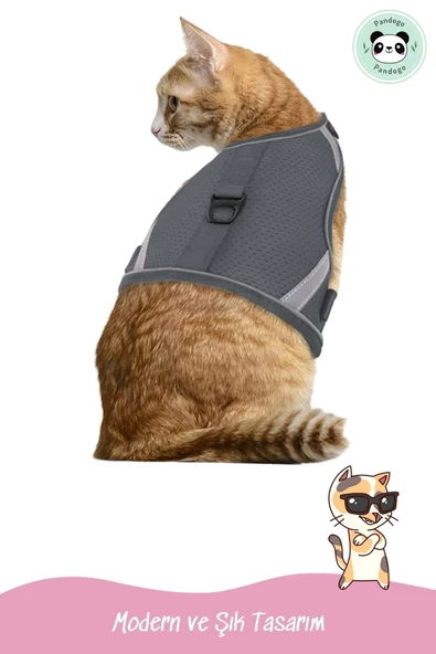 Pandogo Kedi Tasması Göğüs Gezdirme Tasması Uzun Sevk Kayışlı Gri M Beden - Resim 6